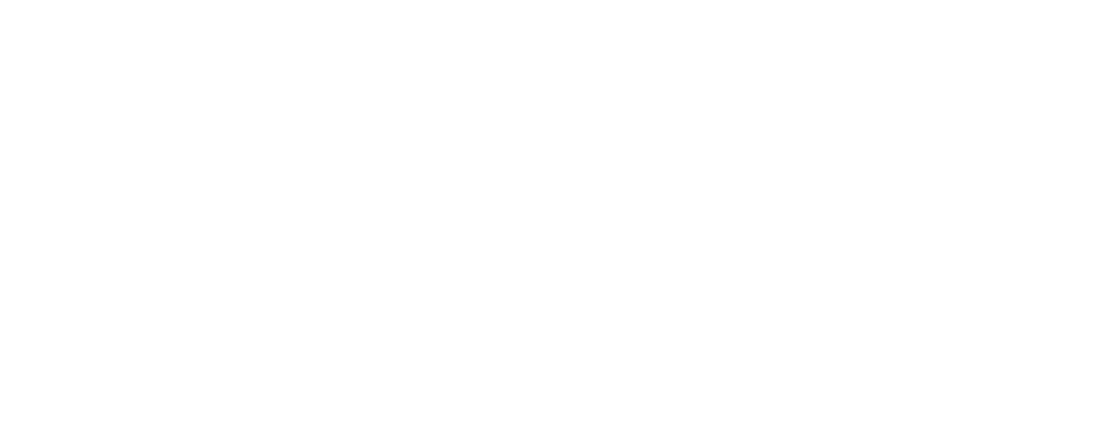 AUDSTER